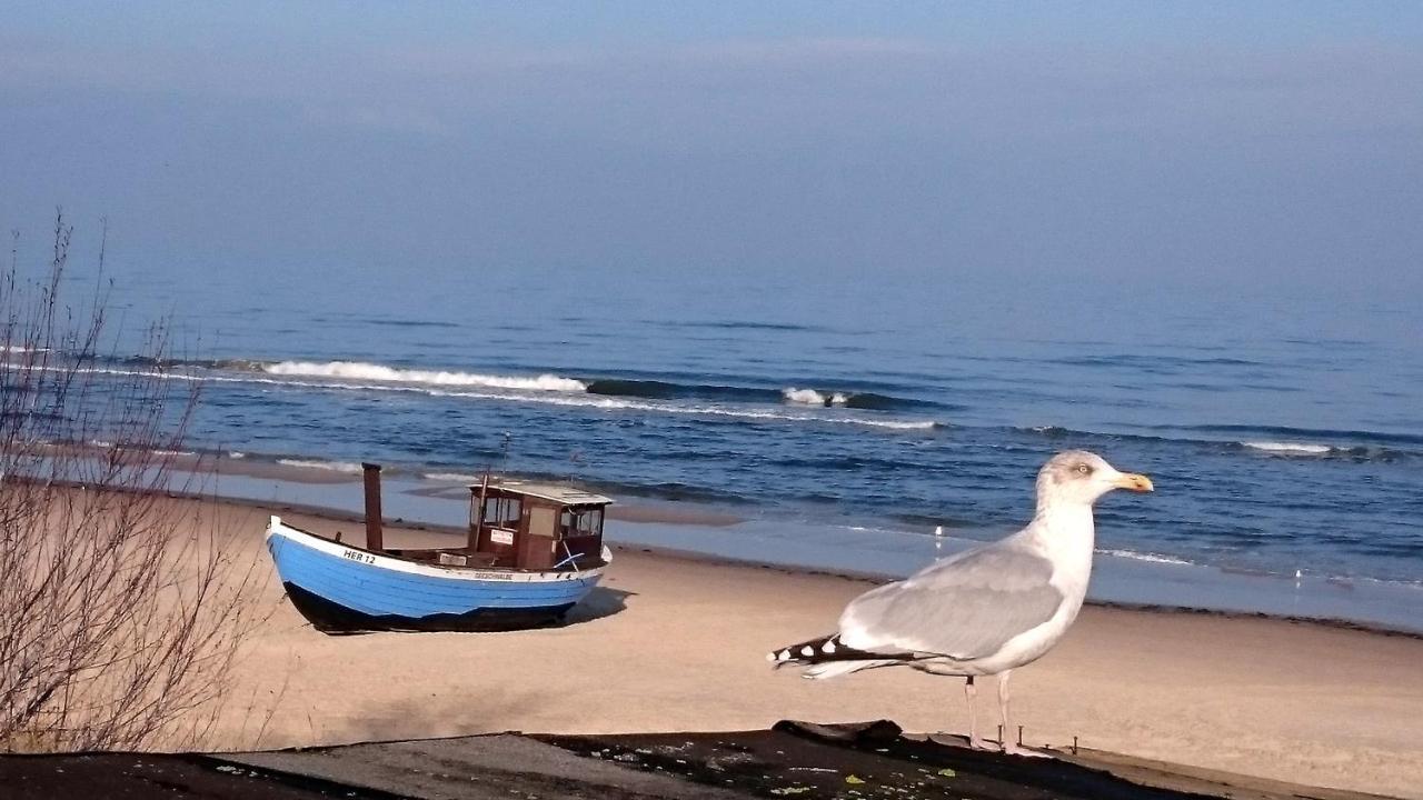 Ferienwohnung Froehling - 90 M Zum Strand هيرينجسدورف المظهر الخارجي الصورة